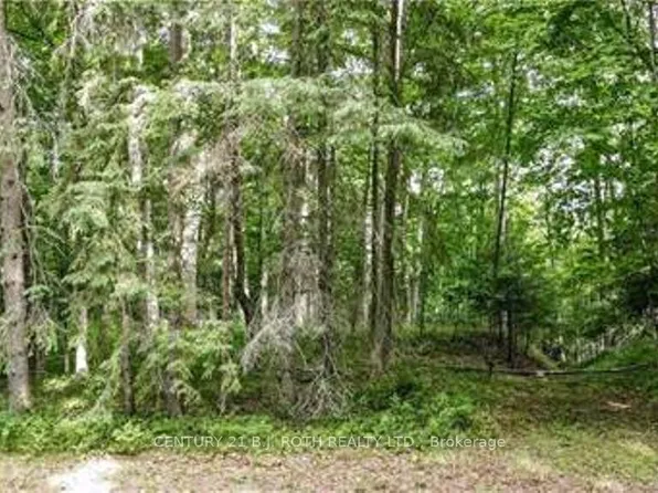 7 Fern Ln, Essa, ON L0M 1T0