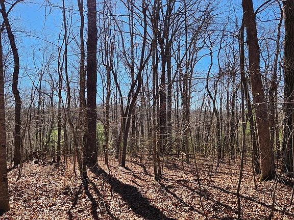 2nd image of 22 Devon Loop #22