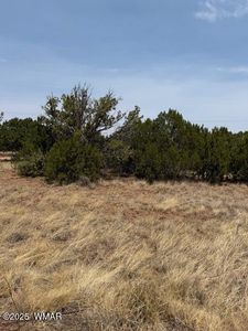 8700 Silver Creek Dr, Show Low, AZ, 85901