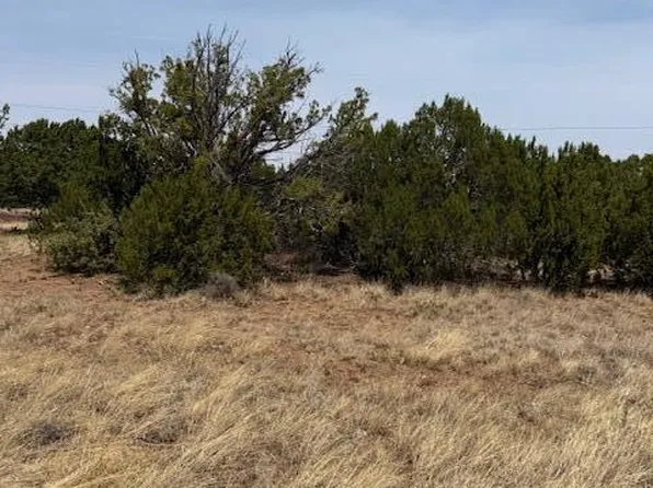 8700 Silver Creek Dr, Show Low, AZ 85901