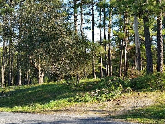 2nd image of Ponderosa Dr