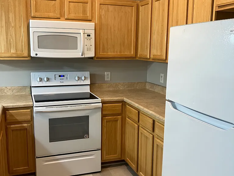 10376 Bronze Dr — Photo 33