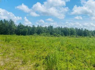 3 NE Beulah Church Rd, Lee, FL 32059