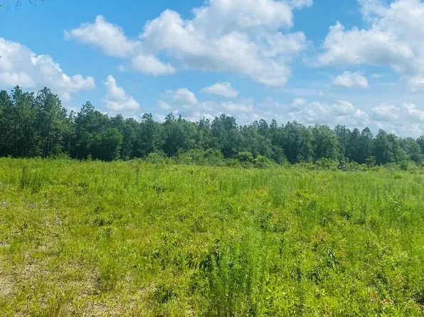 3 NE Beulah Church Rd, Lee, FL 32059