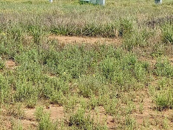 2nd image of 96 Cotton Creek Rd