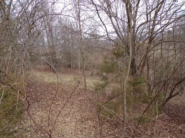 124 Falcon Crest Dr, Harrogate, TN 37752