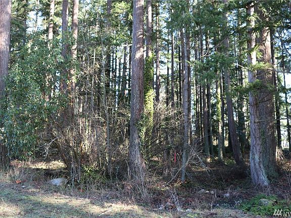 5th image of 1 SE Camano Dr