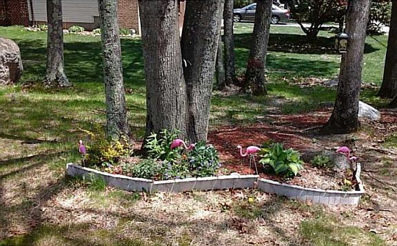 4th image of 9 Chardwood Dr