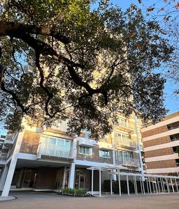 3600 Montrose Blvd Unit 303, Houston, TX, 77006