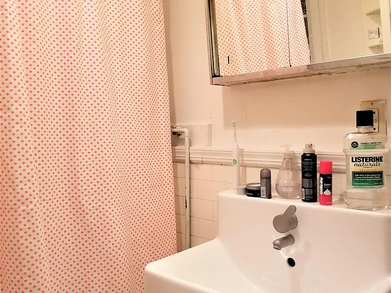 104 Saint Marys St #8H — Photo 6