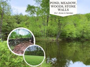 LOT 6.2 Launt Hollow Rd, Hamden, NY 13782