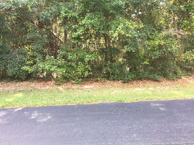 1st image of Lot 2 Live Oak Dr.
