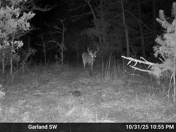 4th image of 0 Old Dolph Rd