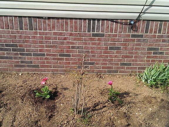 Foundation all around