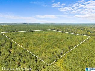 0 County Road 455, Clanton, AL 35046