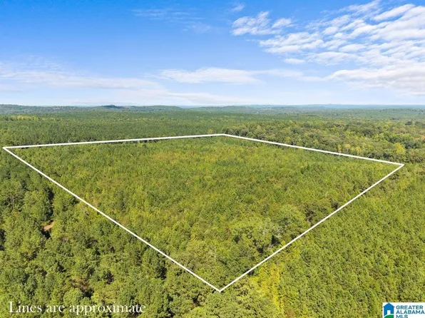 0 County Road 455, Clanton, AL 35046