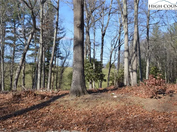 Lot #5 Cubs Lane, Sparta, NC 28675