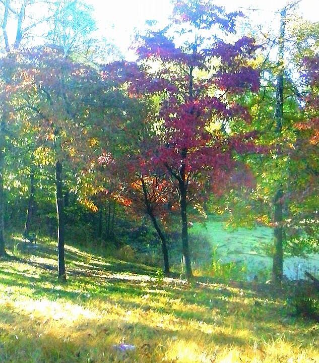 2nd image of 80 Garner Mountain Rd