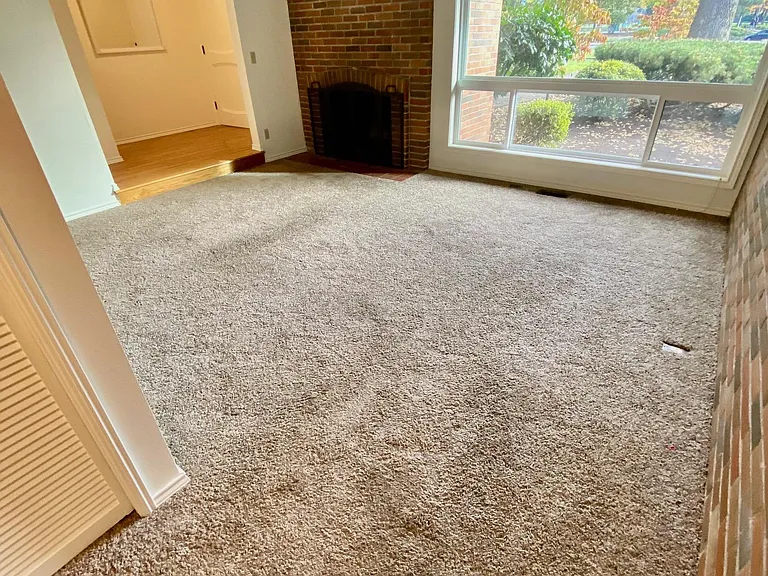 Living room #1 with newer carpet, wood burning fireplace, and large picture window facing front amenities