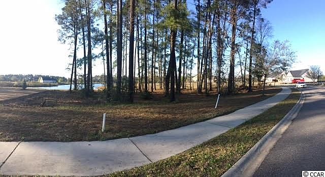 1st image of 1007 Glossy Ibis Dr. Lot 264