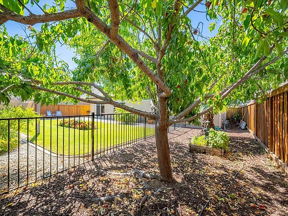 4th image of 420 Palo Verde Way
