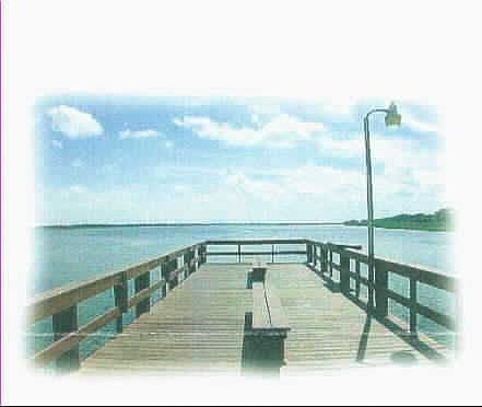 Community fishing dock