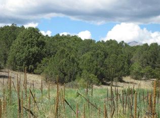 Tbd R Path, Cotopaxi, CO 81223