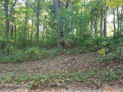 6065 Jefferson St, Coloma, MI, 49038