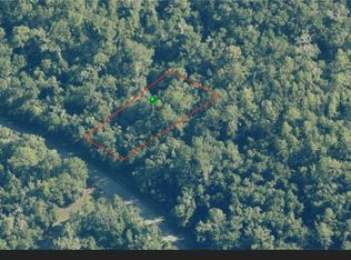 8253 N Alameda Dr, Citrus Springs, FL 34434