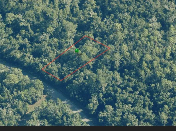 8253 N Alameda Dr, Citrus Springs, FL 34434