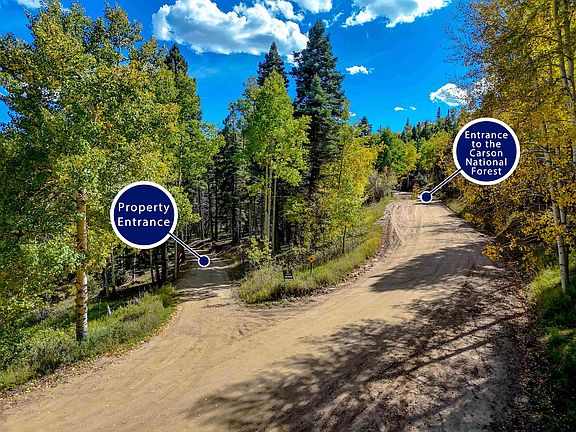 2nd image of 131 Forest Road 76