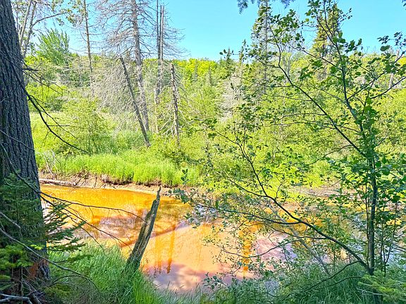 4th image of 41483 W Betsy River Rd