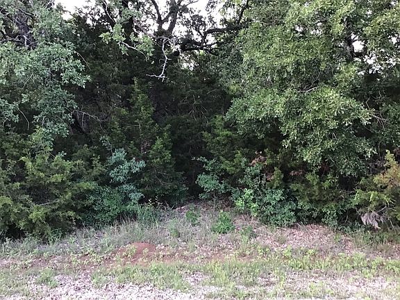 4th image of 44021 Fringewood Dr