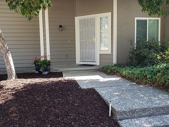 New lawn in progress