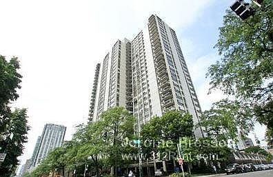 1st image of 1255 N Sandburg Ter #_3005