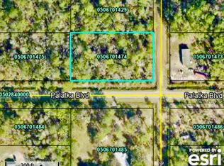 10575 Flikkema Ave, Hastings, FL 32145