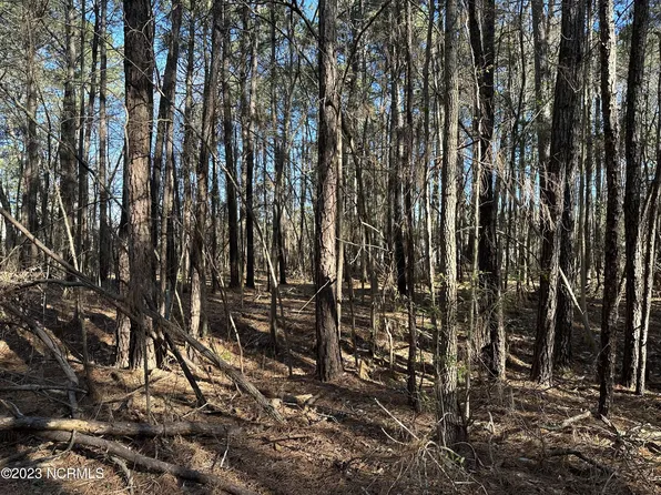 90 Old Colony Rd #90, Kinston, NC 28504