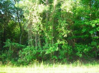 7091 Sandy Ln, Wesley Chapel, FL 33544