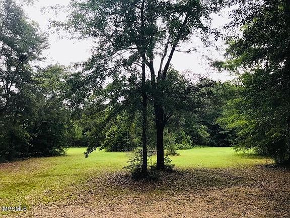 4th image of 25874 Sandy Creek Ct