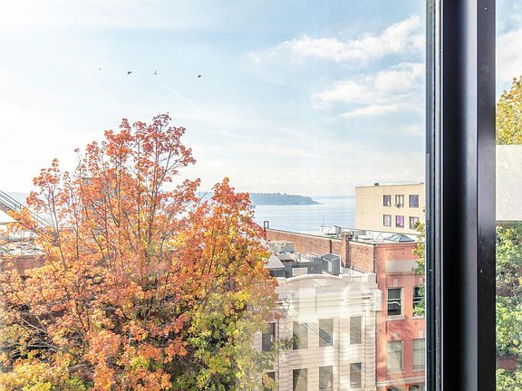 Window View