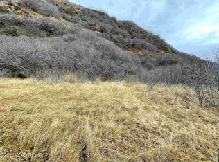 41083 Pasagshak Rd, Kodiak, AK 99615