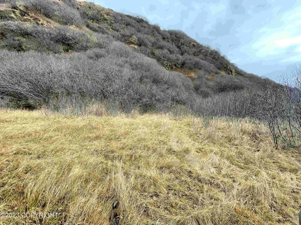 41083 Pasagshak Rd, Kodiak, AK 99615