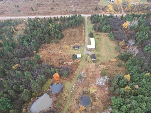 10319 S Forrest Side Rd, Dafter, MI 49724