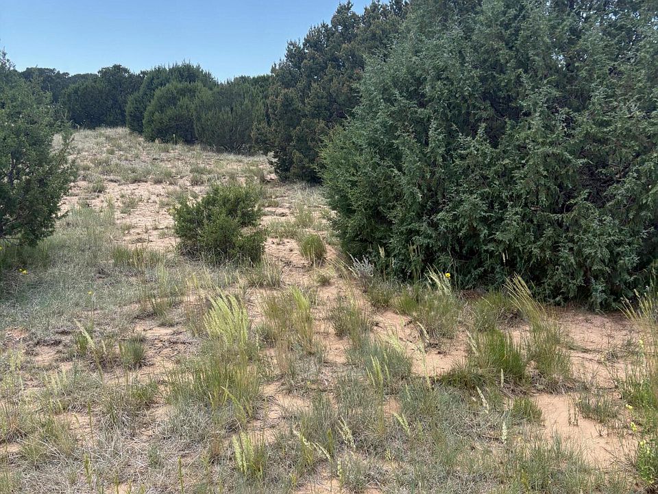 2nd image of Wilson Rnch Lot 8