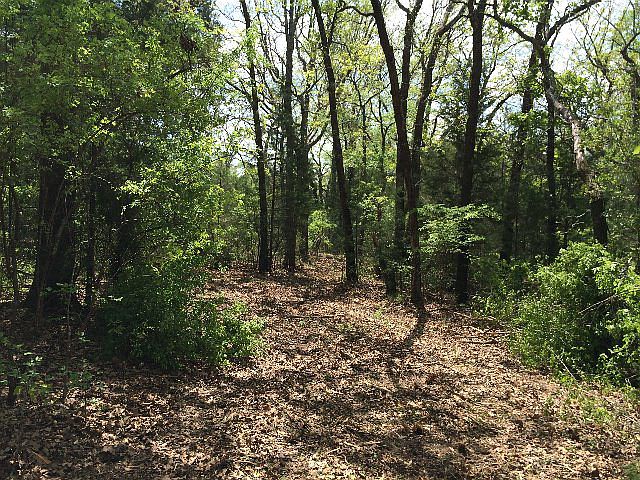 1st image of 17251 An County Road 404