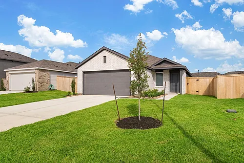 706 Umbrella Tree Dr Photo 1