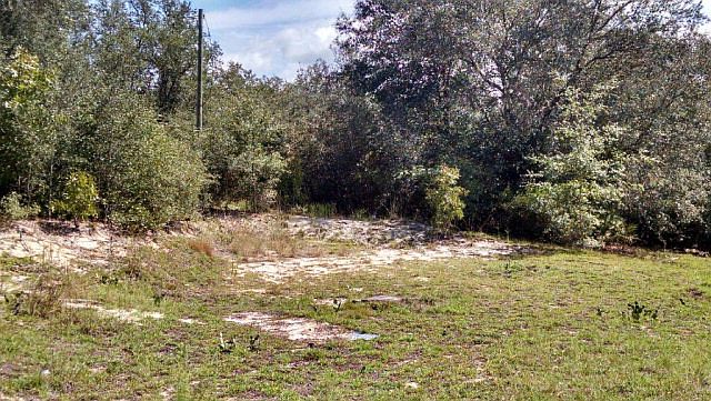 2nd image of 5979 Yellow Bluff Rd
