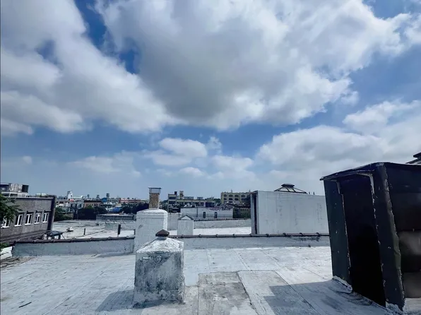 1243 Willoughby Avenue image 19 of 19