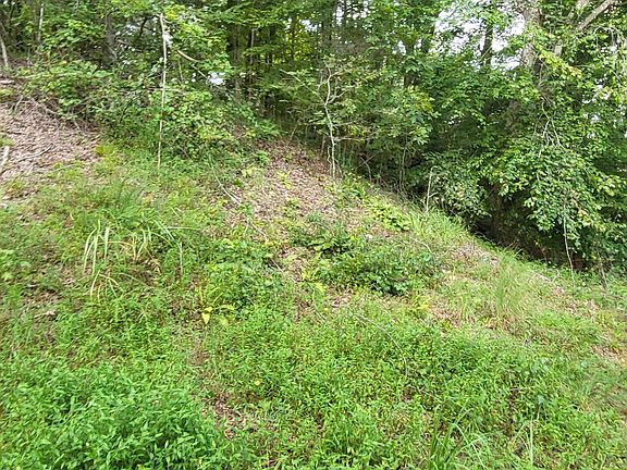 4th image of 905 Grand Valley Dr
