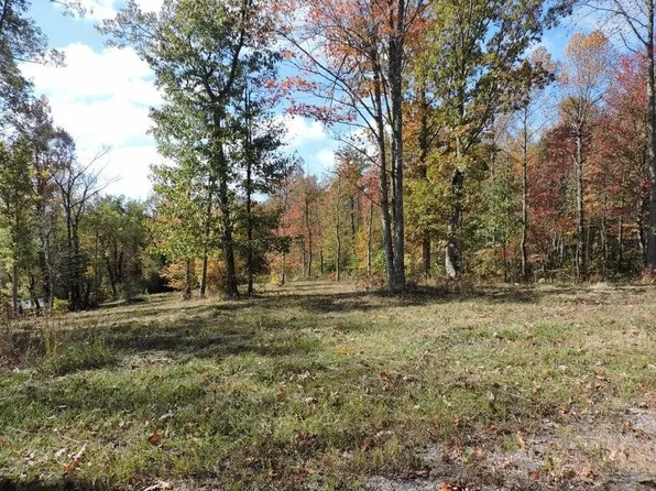 870 Briley Rd, Spring City, TN 37381
